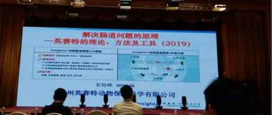 第十五屆泰山論壇·2019動(dòng)物營(yíng)養(yǎng)與飼料科學(xué)技術(shù)交流峰會(huì)圓滿落幕