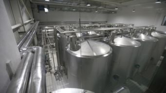 和氏乳業集團 建智能化樣板工廠，未來羊奶新高地