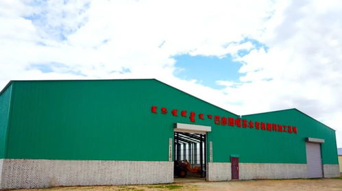 高原黑金 錫林郭勒羊糞如何成為國家地標農產品的秘密